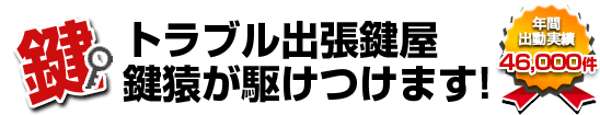 ���l�s�_�ސ��̌������͏o���������삯���܂�